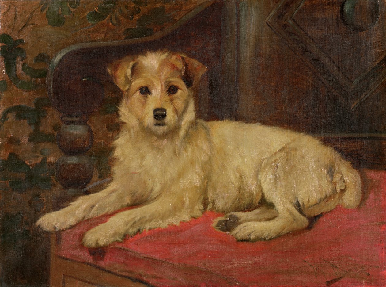 En terrier på en soffa av Wright Barker