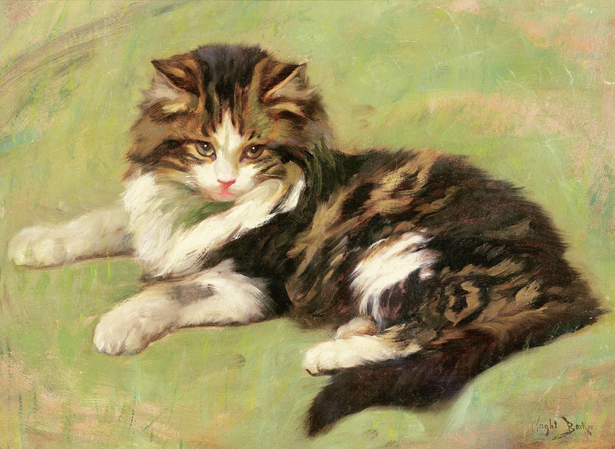 I vila av Wright Barker