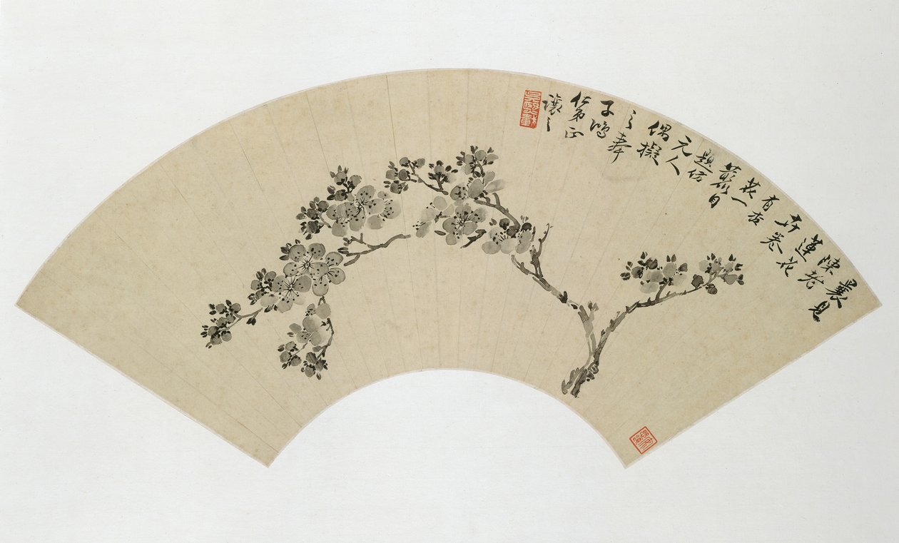 Aprikos, 1800-talet. av Wu Xizai