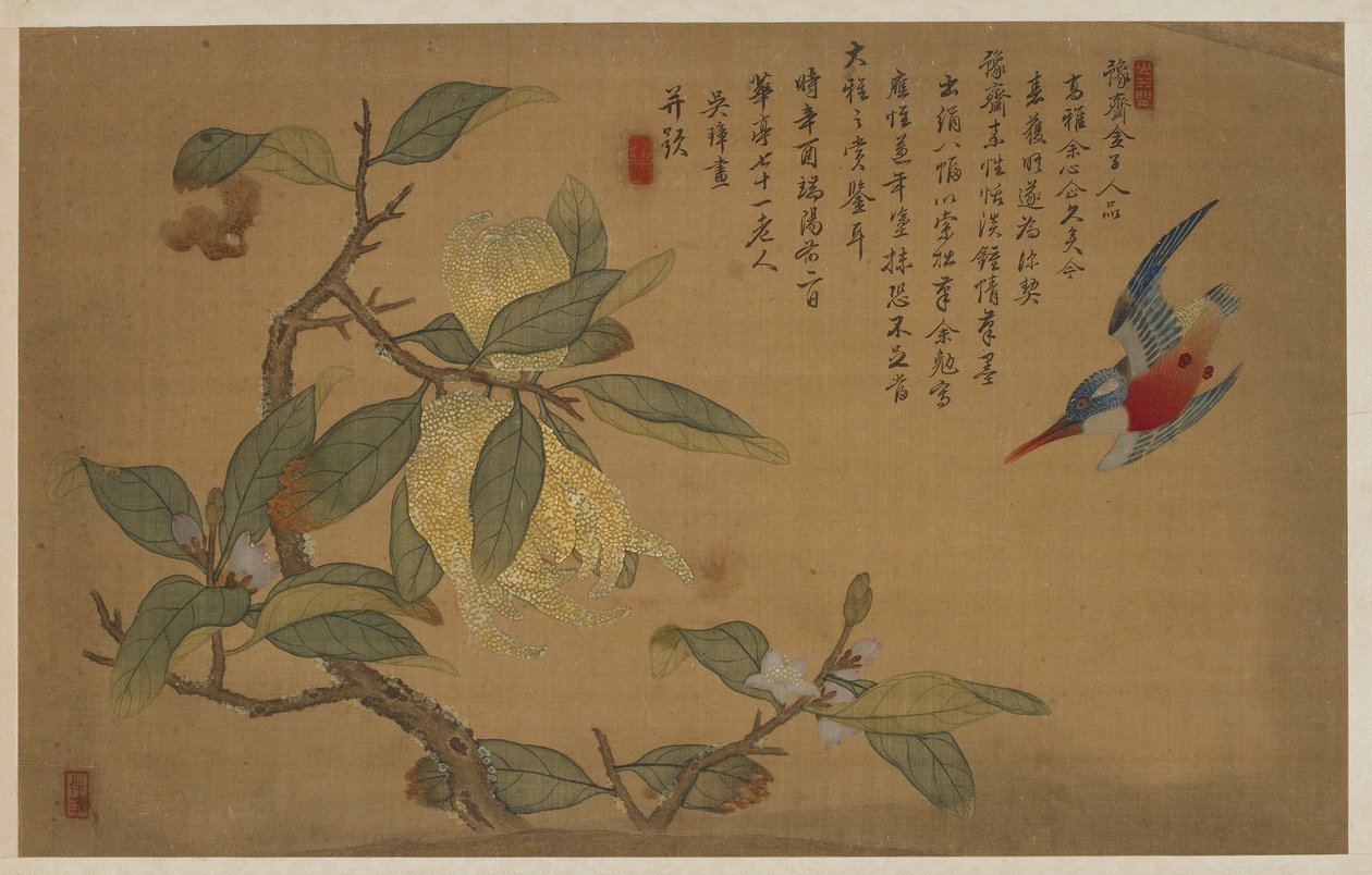 Fågel, frukt och blommor av Wu Zhang
