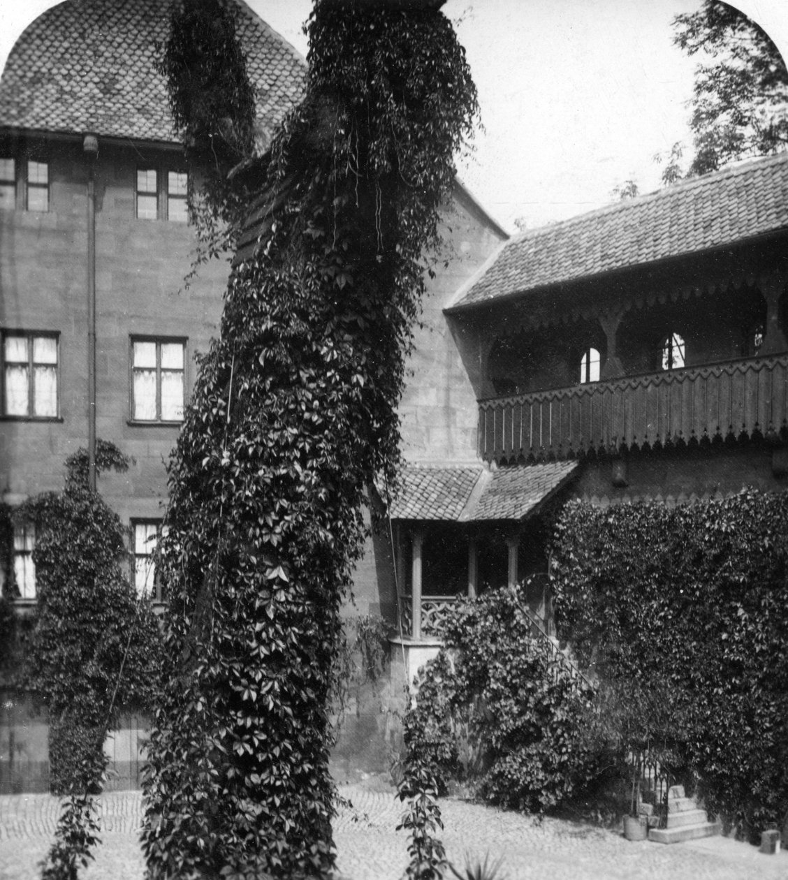 Lindeträd på en innergård, Nürnberg, Bayern, Tyskland, c1900-talet. av Wurthle and Sons