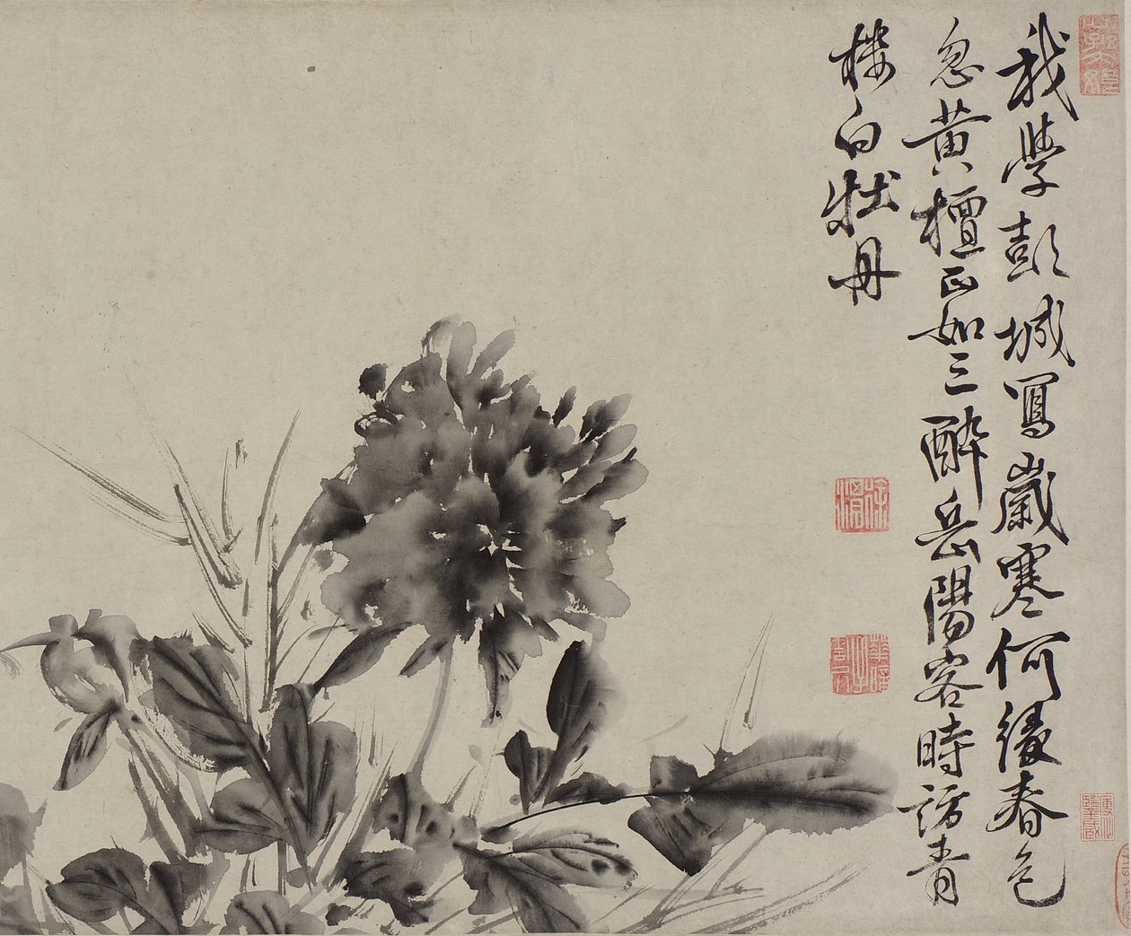 Tolv blommor och dikter, Mingdynastin (bläck på papper) av Xu Wei