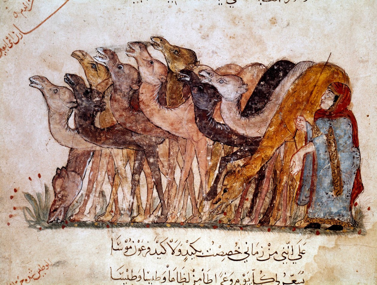 En grupp kameler och kameler, husvagn i öknen. Sida av "" Maqamat"" (Seanser), pikaresk dikt från 1000-talet av den arabiska poeten Abu Mohammed al-Kasim ibn Ali Hariri (eller Al-Hariri eller Al Hariri) (1054-1122) illustrerad av Al-Wasiti (al) -Wasiti) av Yahya ibn Mahmud Al Wasiti