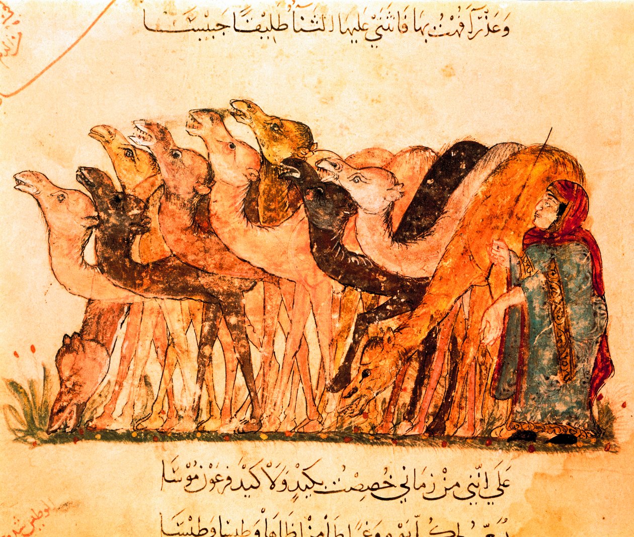 En grupp kameler och kamelherden, från "Maqamat" av Yahya ibn Mahmud Al Wasiti