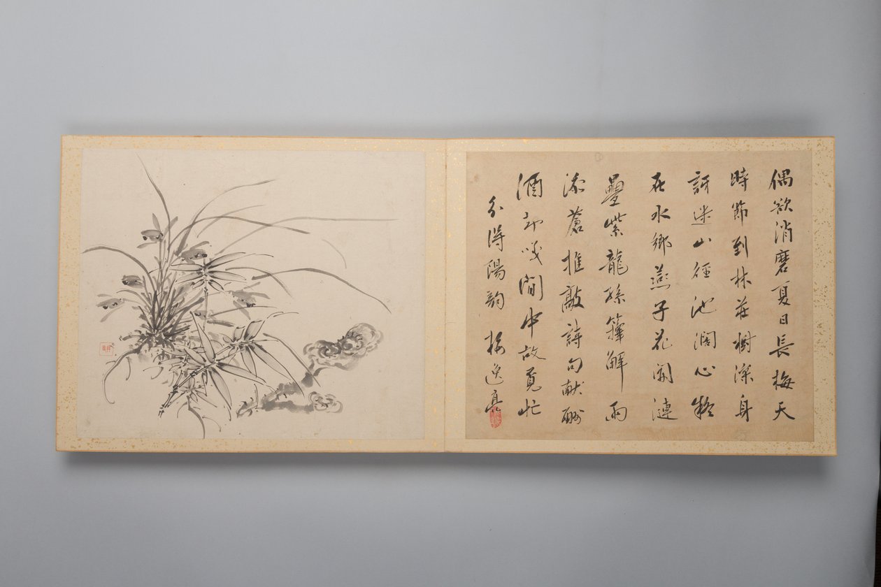 Raffinerad elegans i de fyra årstiderna Shiji seiga, Album of Flower Paintings, 1844. av Yamamoto Baiitsu