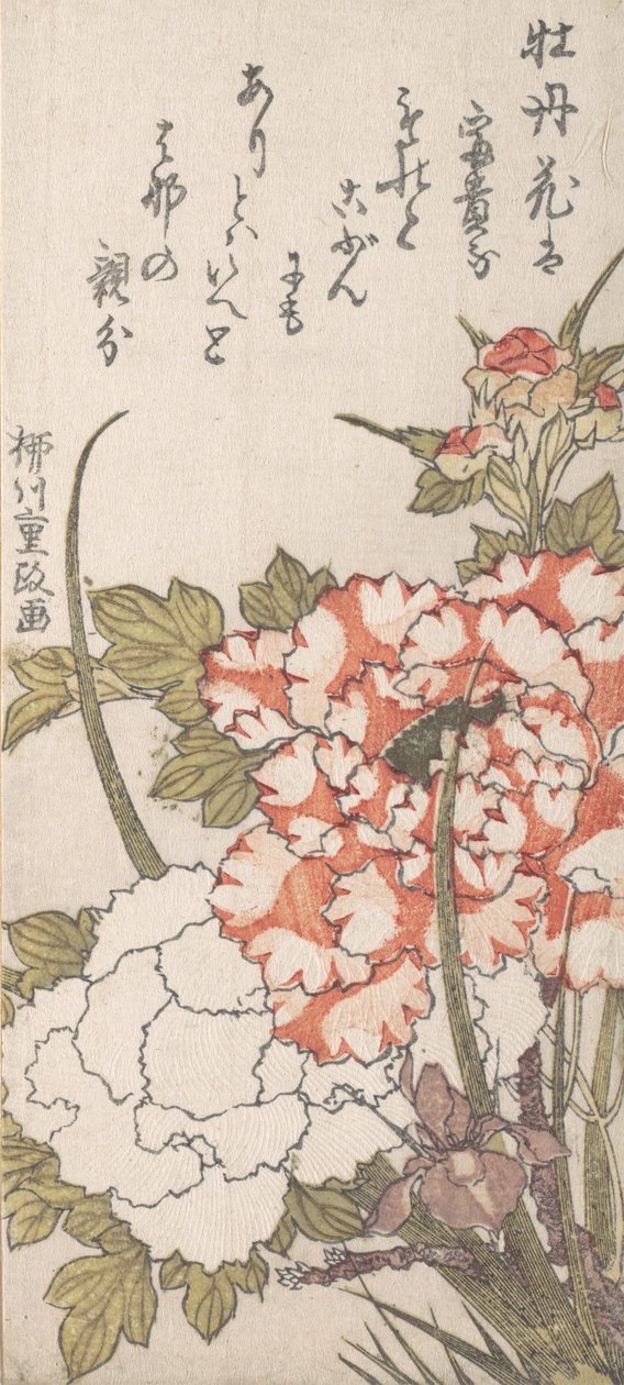 Pioner och Iris, 1700-1800-talet. av Yanagawa Shigemasa