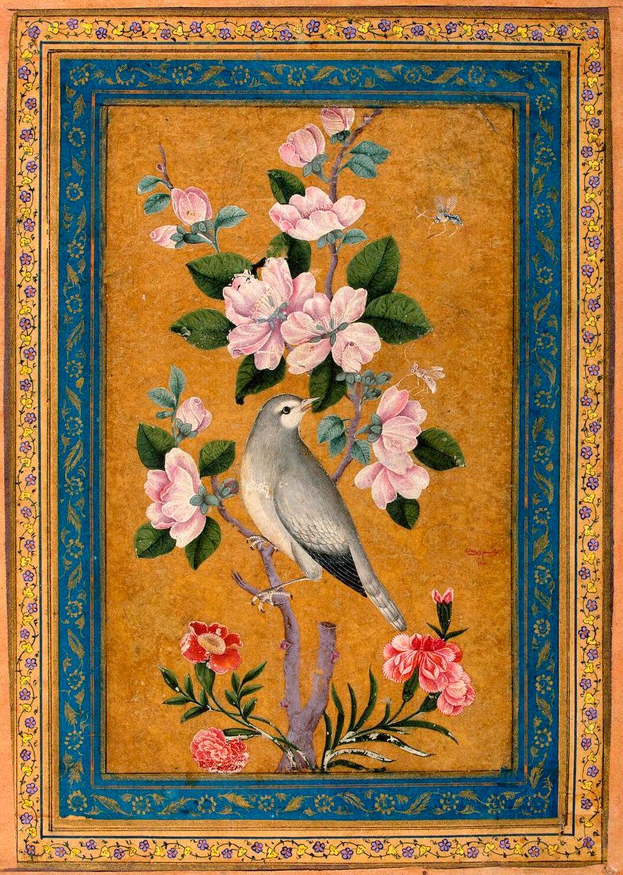 Fågel sitter på en blommande gren, 1696. av Yusuf Zaman