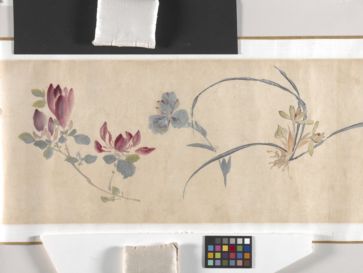 Färgade blommor av Zhimian Zhou