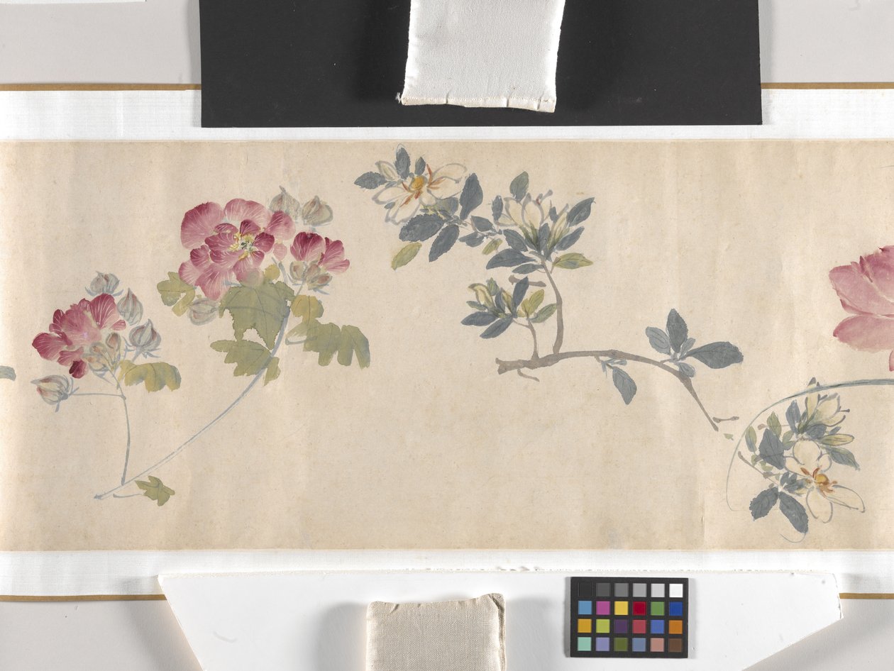 Färgade blommor av Zhimian Zhou