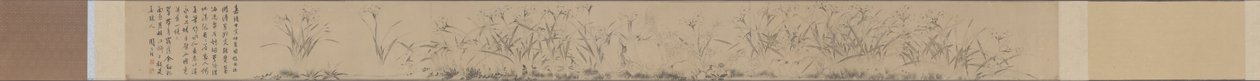Narcissusrulle. av Zhou Tianqiu