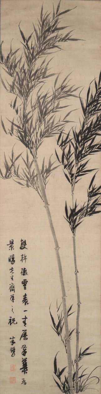 Bambu av Zhu Lu