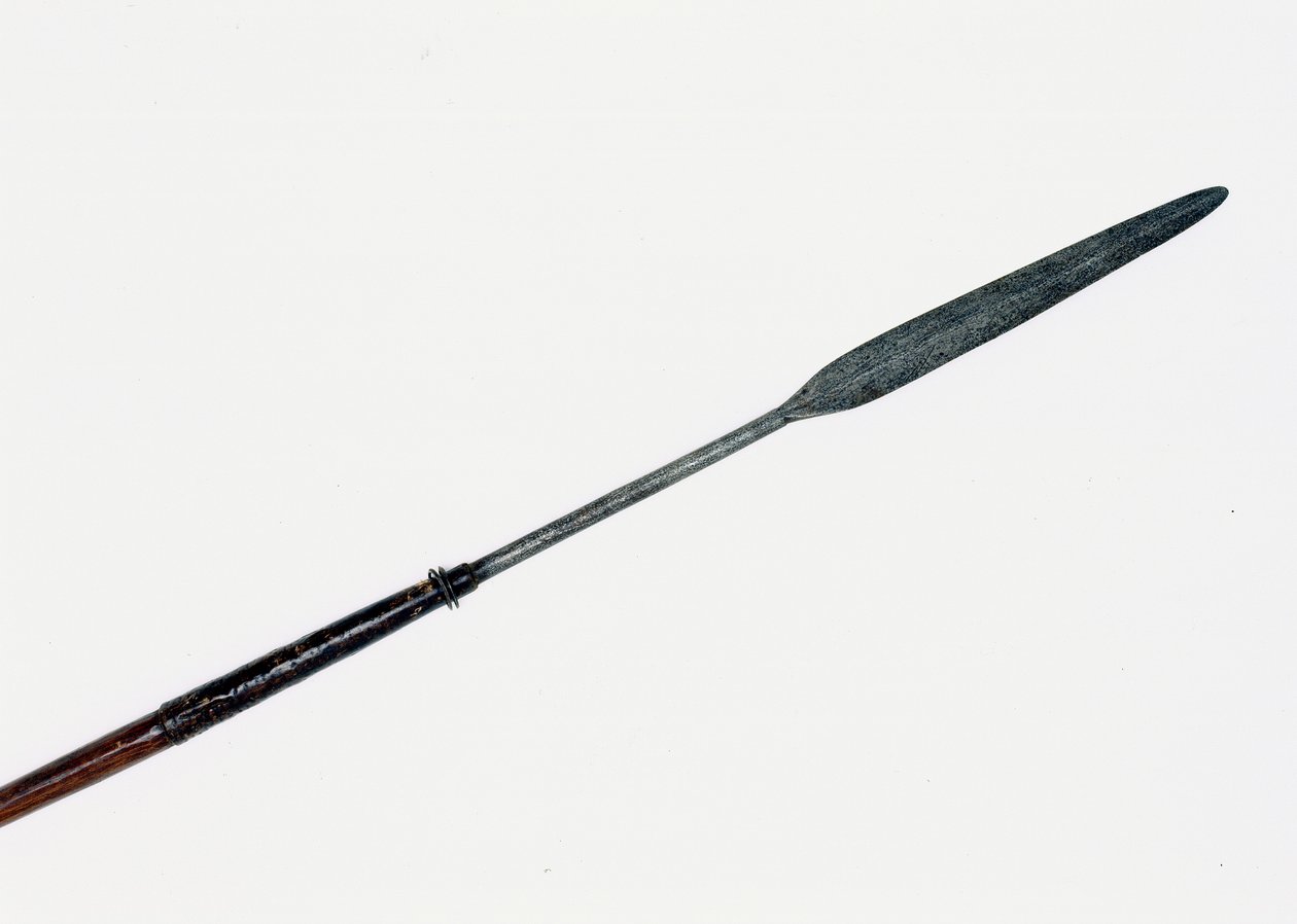 Assegai återhämtade sig från närheten av Prince Imperials kropp av Zulu