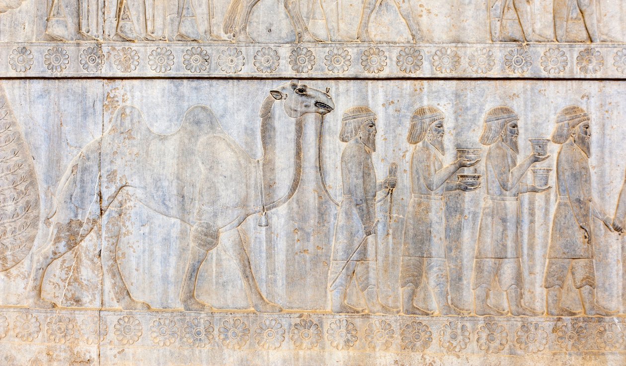 Forntida relief av Achaemeniderna; delegation av partherna med kamel; Apadana-palatset; arkeologisk utgrävning; forntida persiska staden Persepolis; Unescos världsarvslista; Fars-provinsen; Iran; Asien av Frederick (attr. to) Barnard