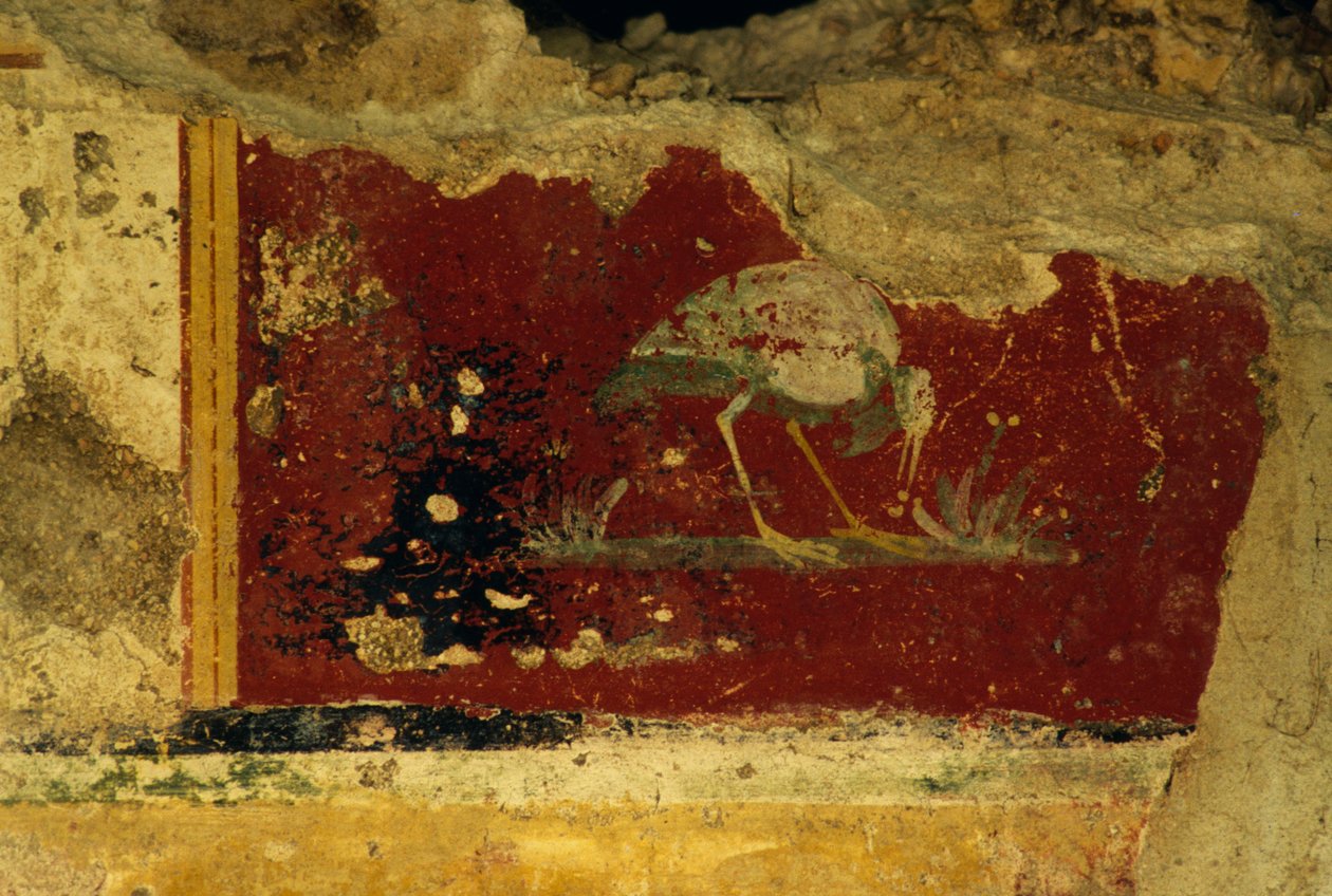 Fågel, freskfragment, Salus Augusta Temple-Cryptoporticus, antik romersk stad Urbs Salvia, Urbisaglia, Marche, Italien (foto) av William Walcutt