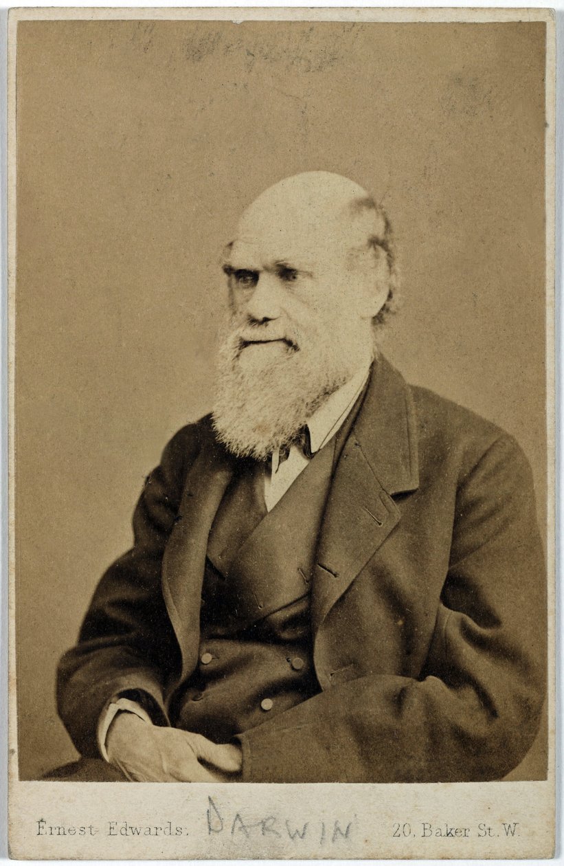 Charles Darwin, engelsk naturforskare, ca 1870-talet av Ferdinand Georg Waldmuller