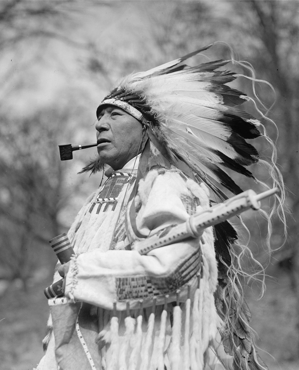 Chief Whirlwind Soldier från Rosebud Reservation av . .