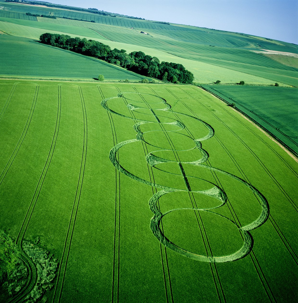 Korncirkel i kornfält, Beckhampton, Wiltshire, 5 juni 2005 (flygfoto) av Ferdinand Georg Waldmuller