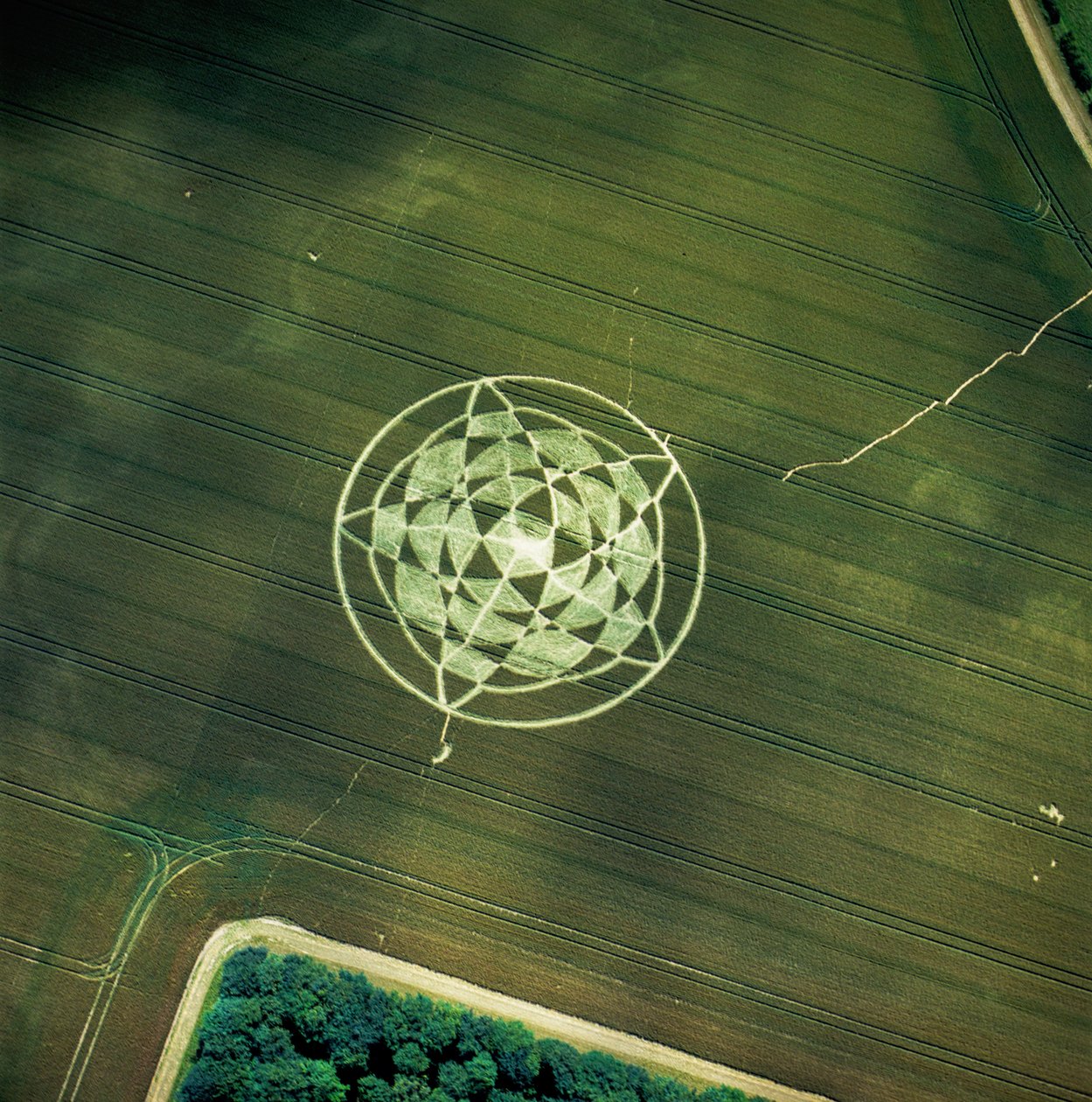 Gröncirkel i vetefält, Avebury Henge, Wiltshire, 22 juni 2002 (flygfoto) av Ferdinand Georg Waldmuller