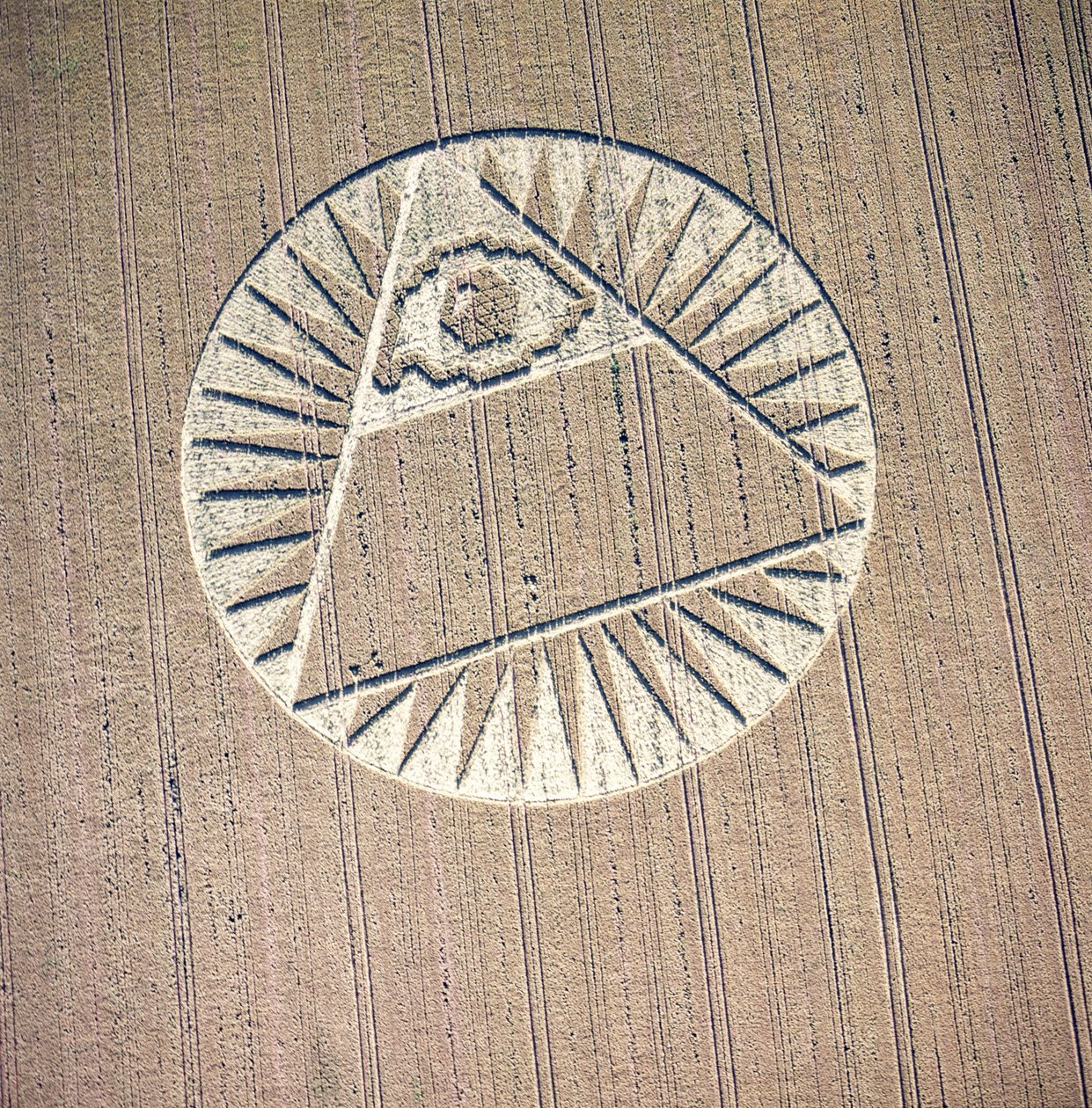 Gröncirkel i vetefält, Highclere, Hampshire, 21 juli 2002 (flygfoto) av Ferdinand Georg Waldmuller