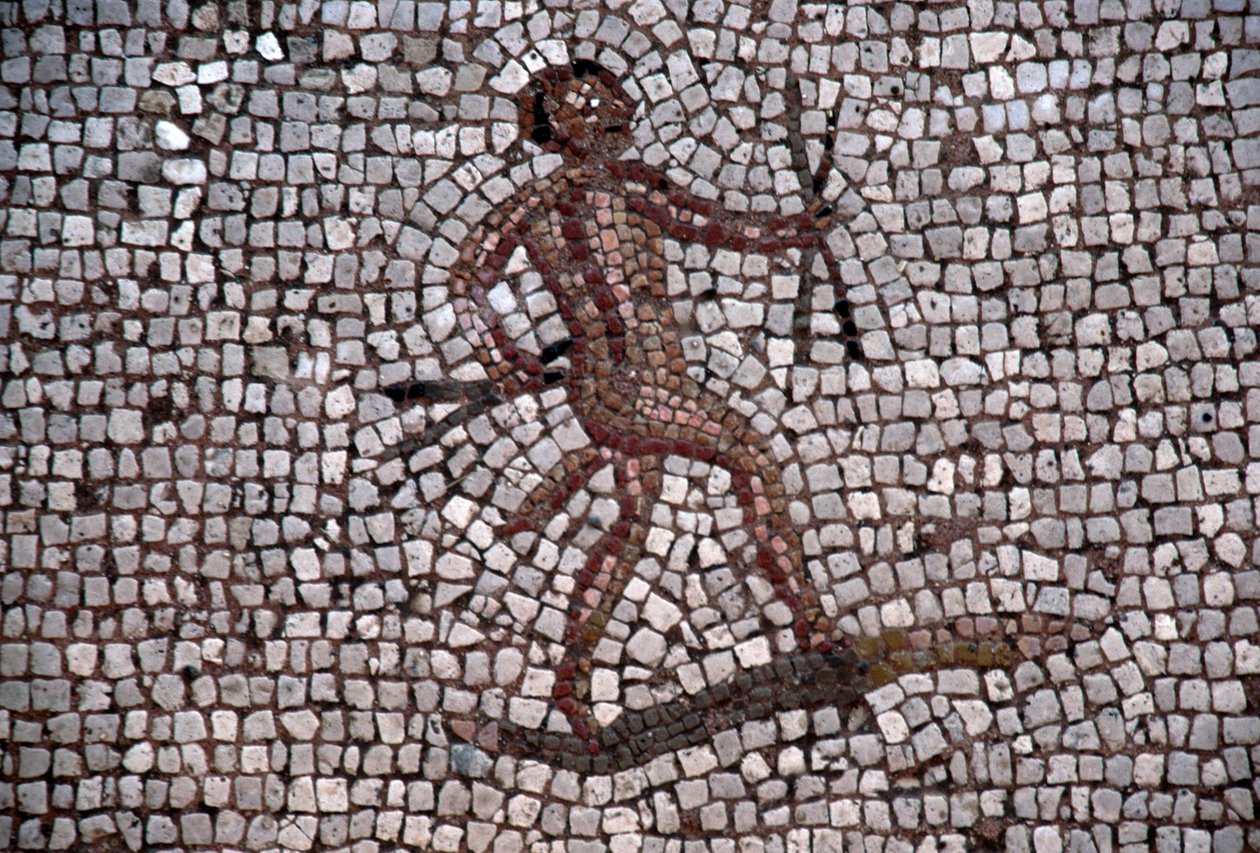 Dansare, mosaik i den antika hamnen i Kos, ön Kos, Grekland, romersk civilisation (foto) av Georg Carl Heinrich Dollmann