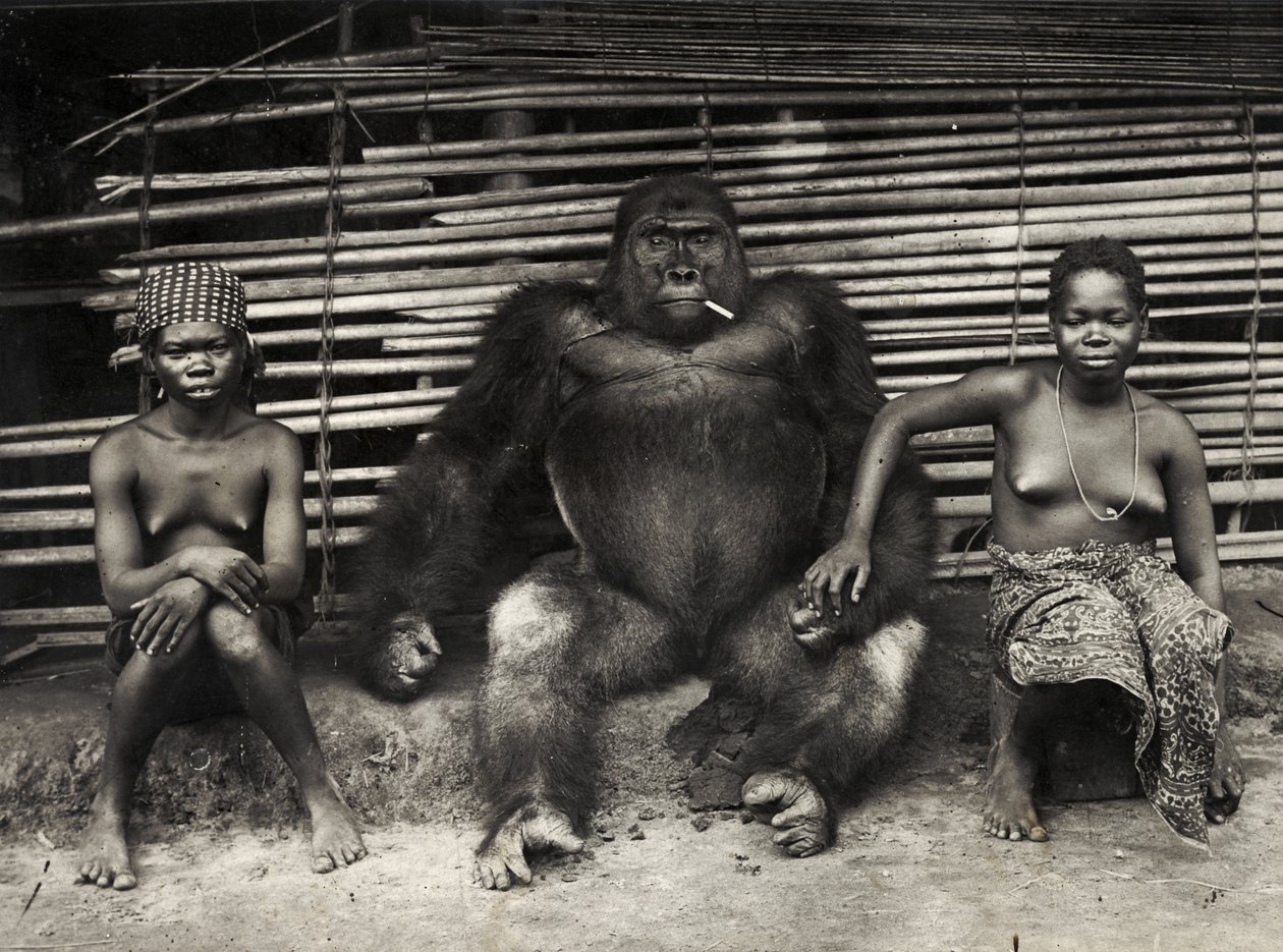 Gorilla (silvertryck av gelatin) av Hippolyte Lalaise Devéria