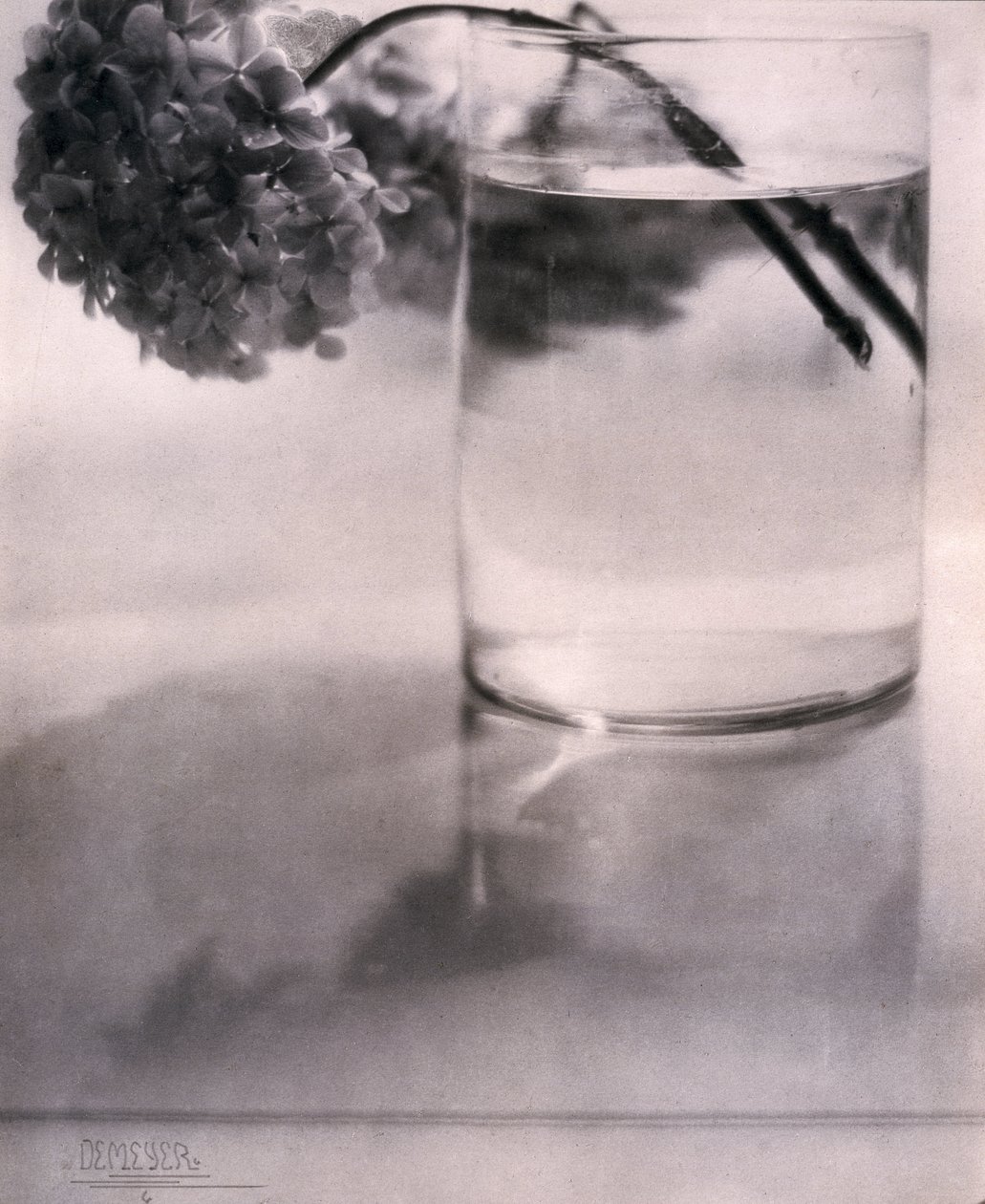 Hortensia, c 1907 av John Pardon