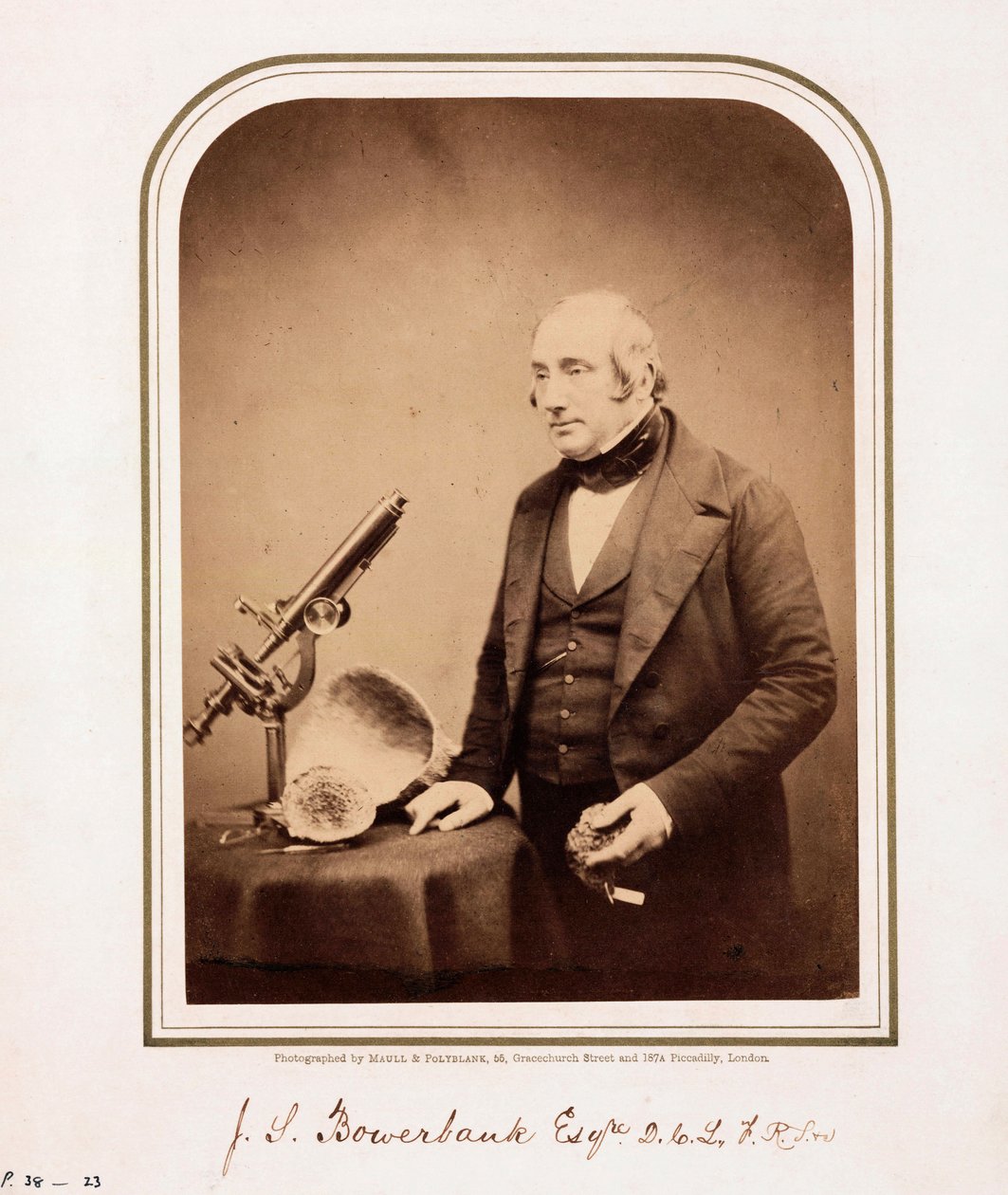 James Scott Bowerbank, brittisk geolog av Ferdinand Georg Waldmuller