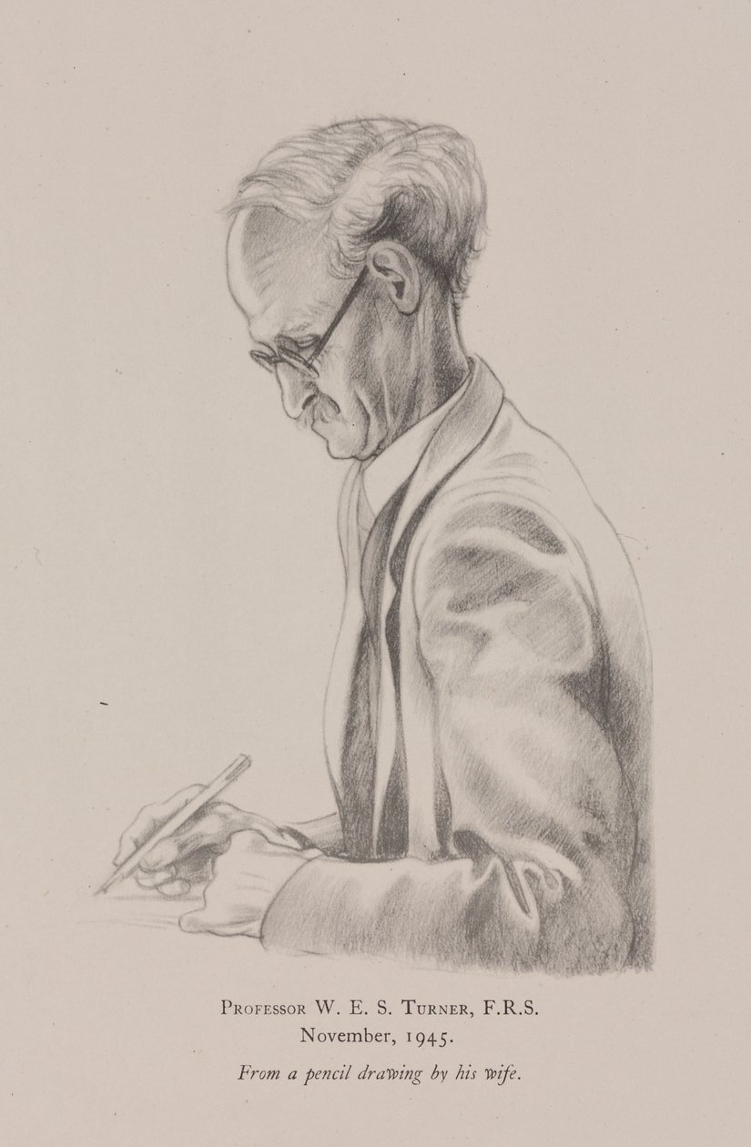Professor W E S Turner, november av Frederick (attr. to) Barnard