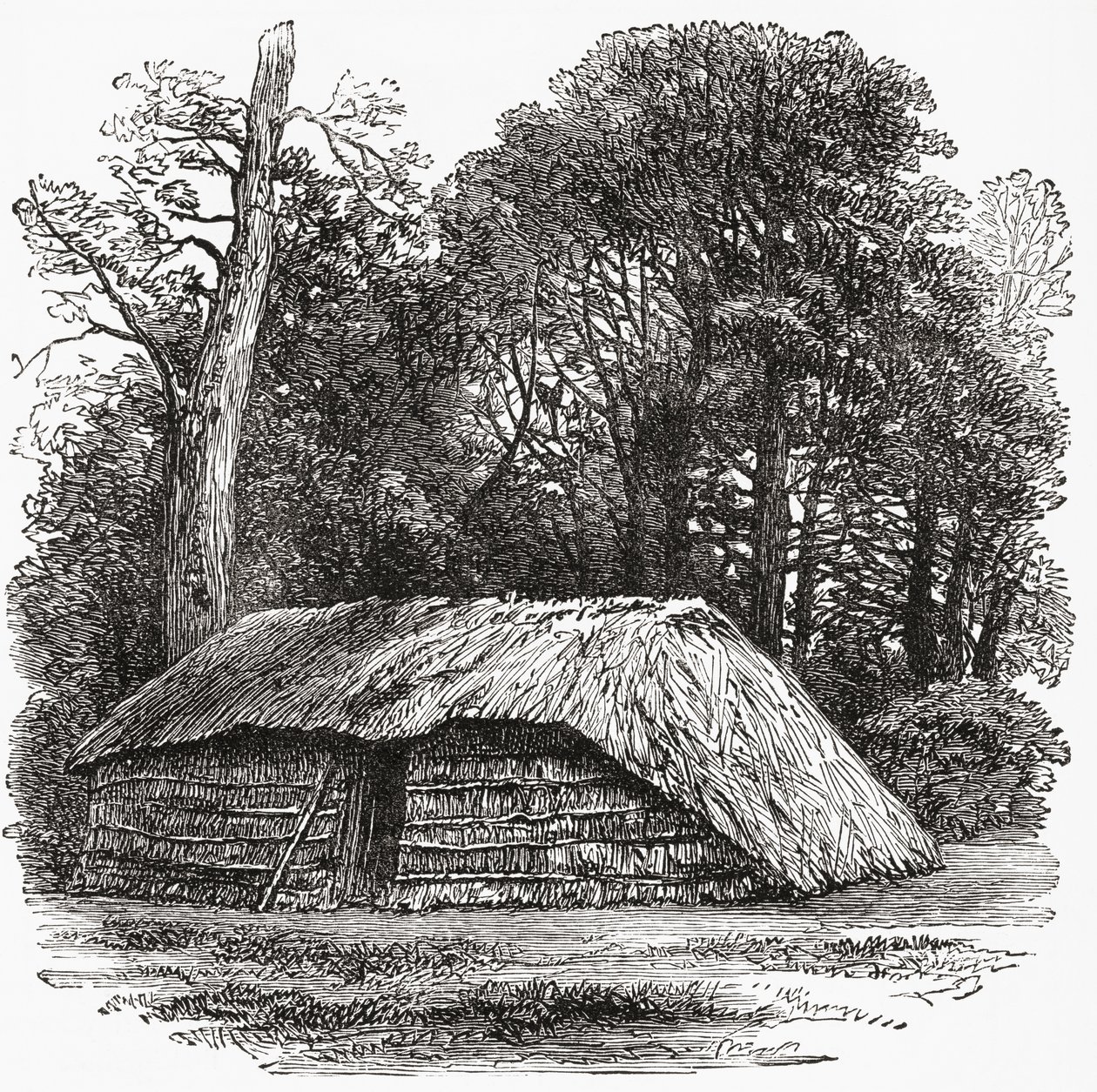 Hyddan där Sir David Livingstone dog 1 maj 1873 av . .