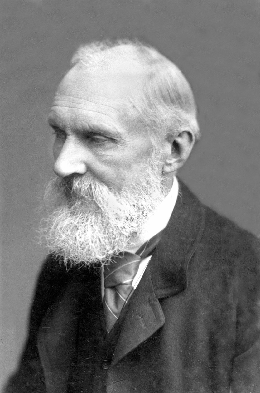 Storbritannien: William Thomson Kelvin av Frederick (attr. to) Barnard
