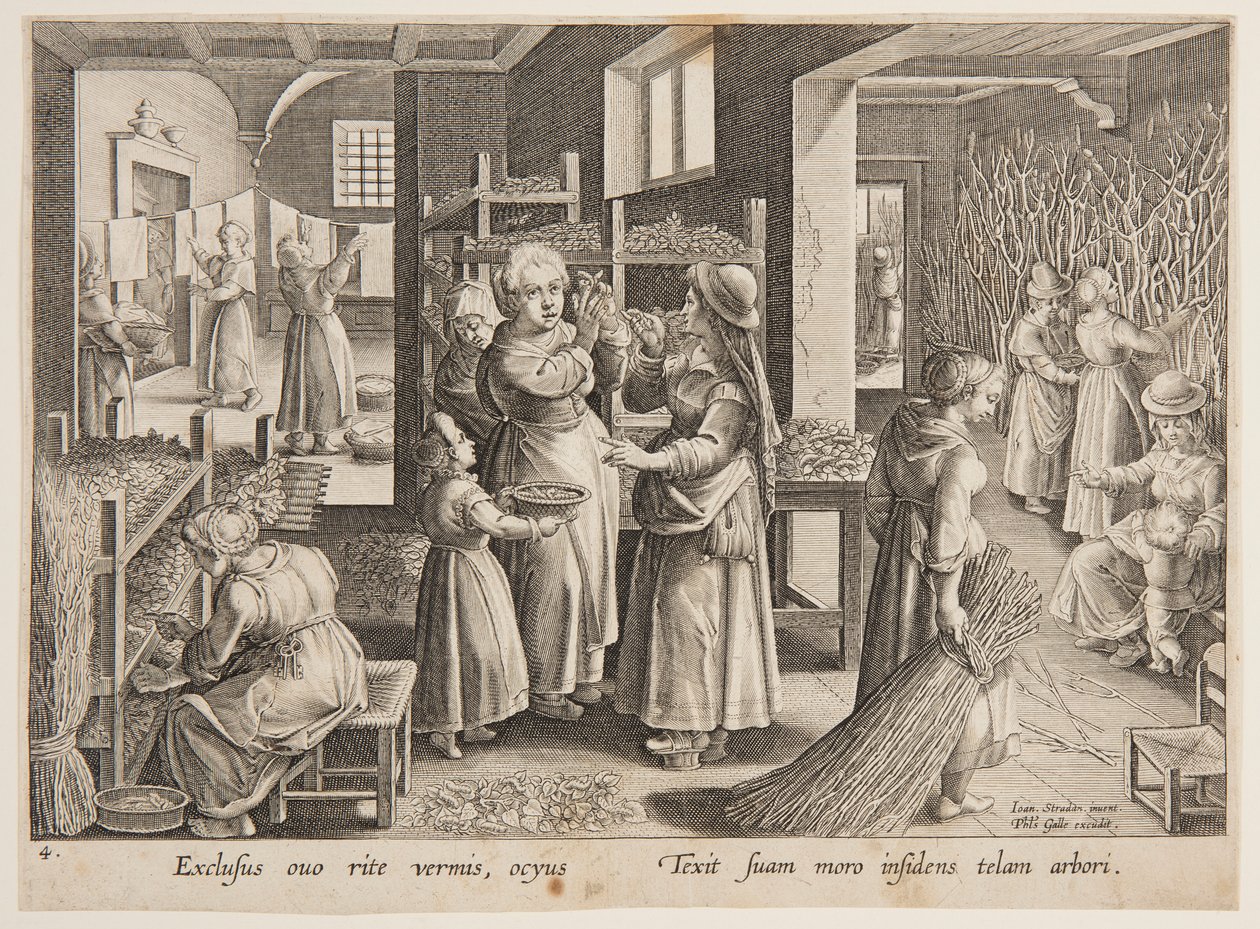 Mata mullbärsblad till silkesmaskarna av after Jan van der Straet, called Stradanus