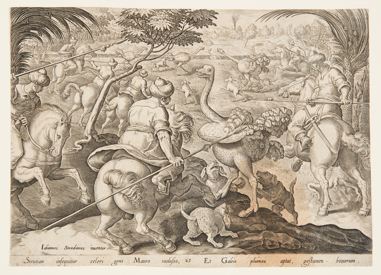 Strutsjakten av after Jan van der Straet, called Stradanus