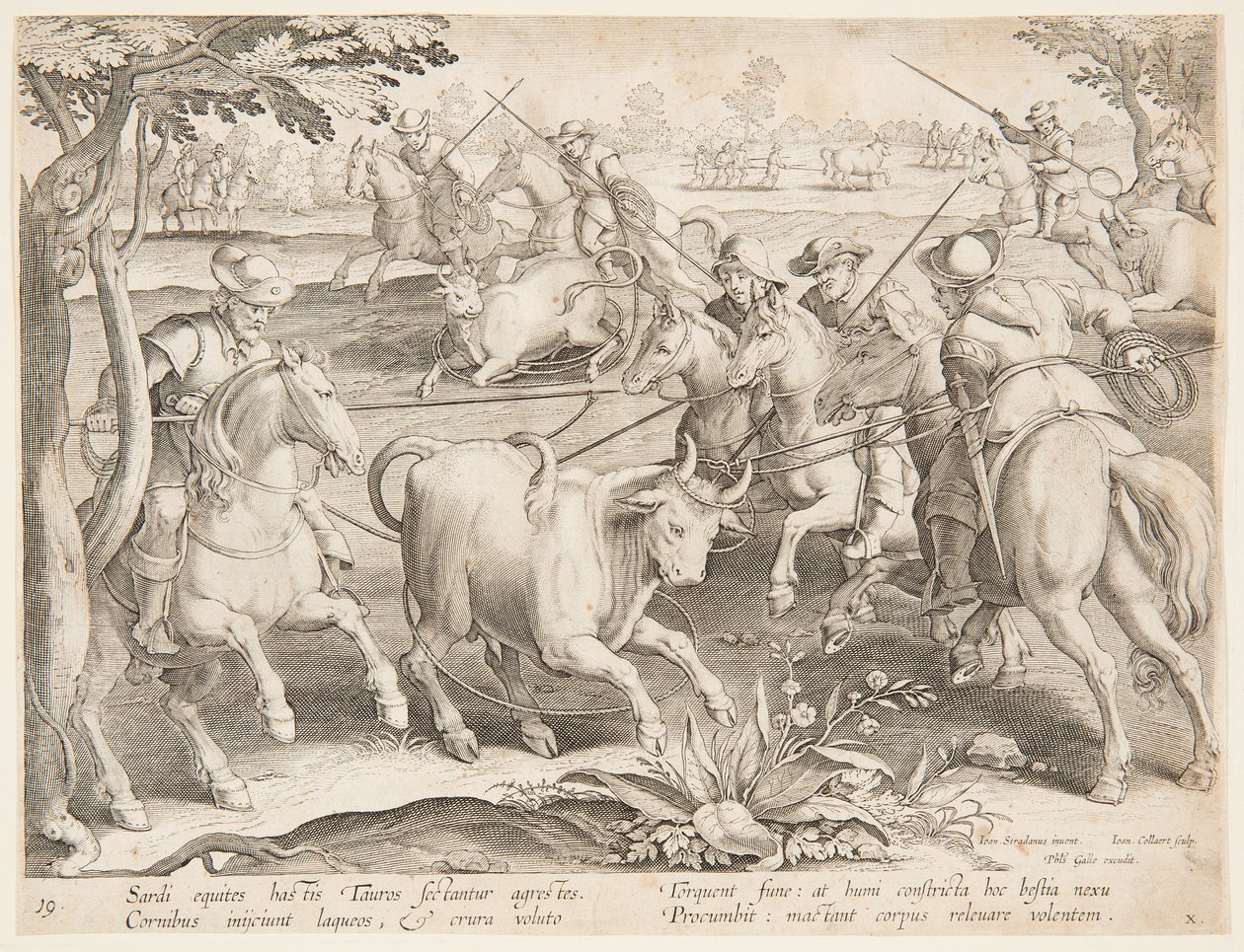 Fånga vilda tjurar av after Jan van der Straet, called Stradanus