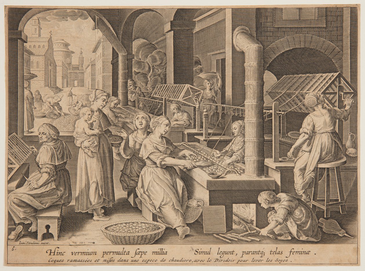 Varva ner sidenkokongerna av after Jan van der Straet, called Stradanus