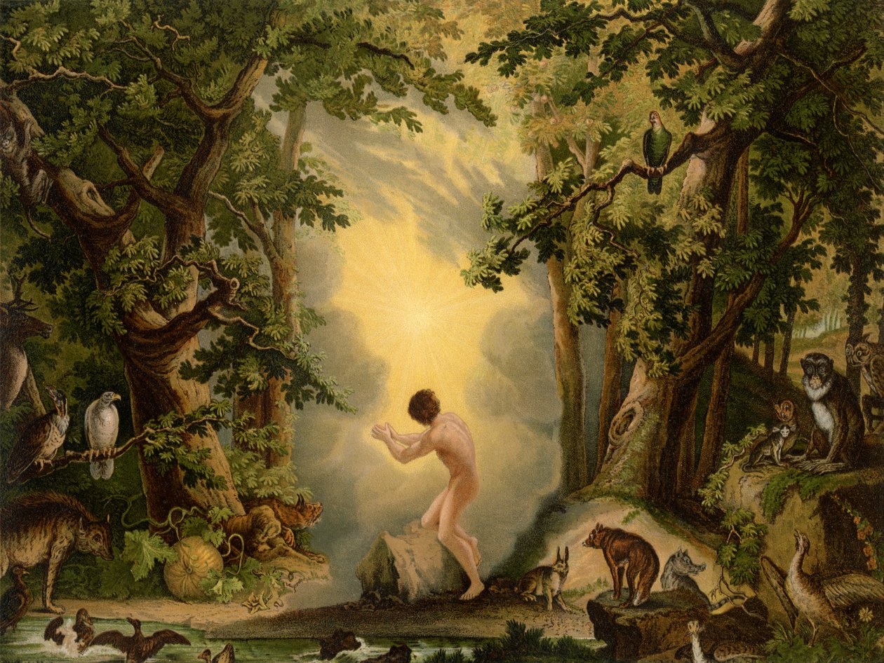 Adams skapelse av Johann Elias Ridinger or Riedinger