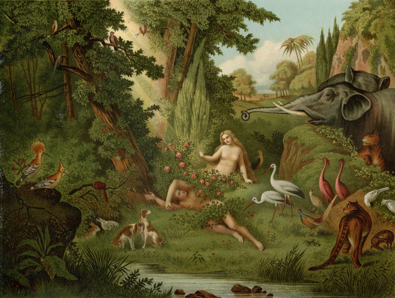 Evas skapelse av Johann Elias Ridinger or Riedinger