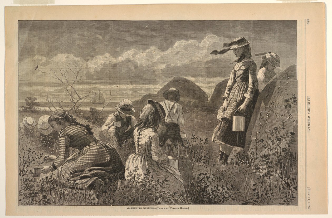 Samla bär av Winslow Homer
