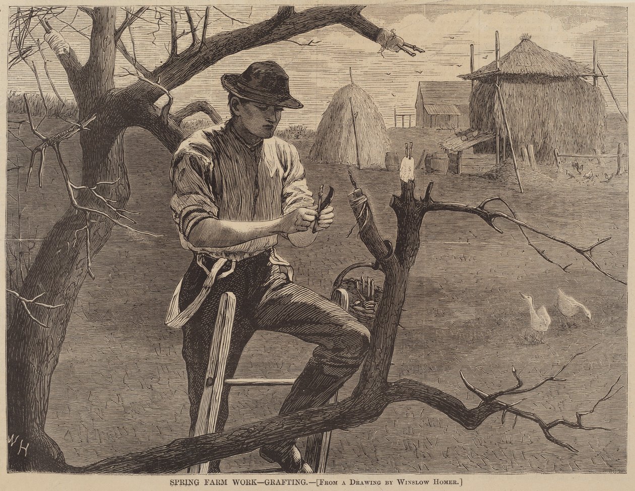 Vårgårdsarbete - ympning av after Winslow Homer