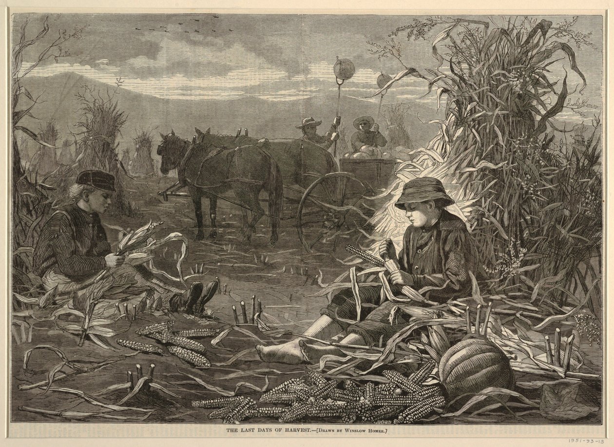 The Last Days of Harvest, från Harper