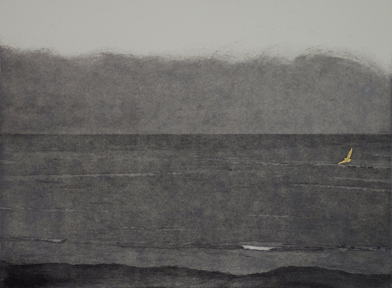 Silent flight, 2017, etsning, akvatint och handfärgning på papper av angus hampel