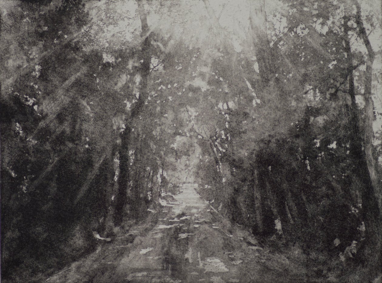 Hallelujah II, 2017, etsning och akvatint på papper av angus hampel