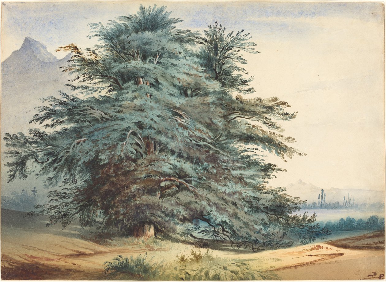 Två gamla träd före en bergstopp av attributed to Jules Dupré