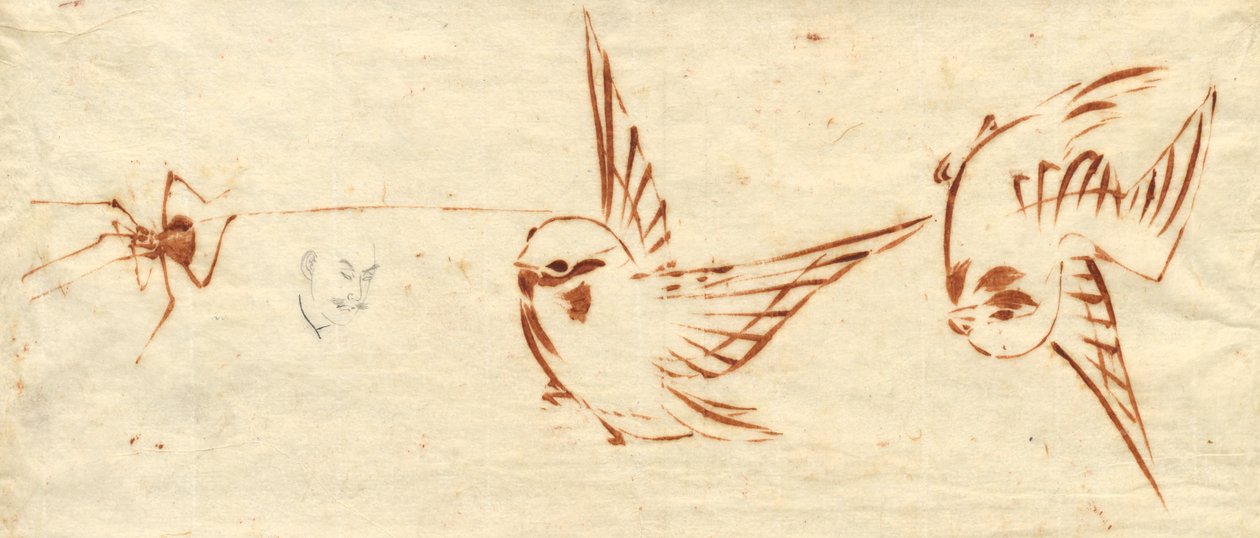 Skisssida med fåglar och spindel av attributed to Katsushika Hokusai