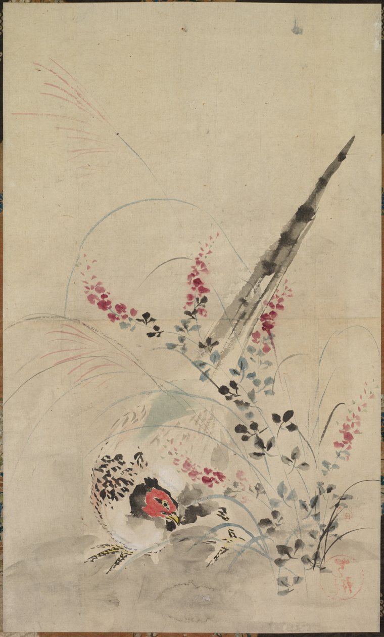 Fasan och gräs av attributed to Ogata Kōrin
