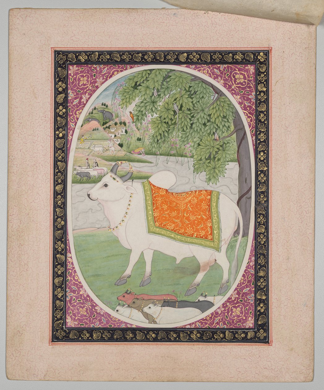 Oxen, från en Mandi Astrology Series av attributed to Sanju