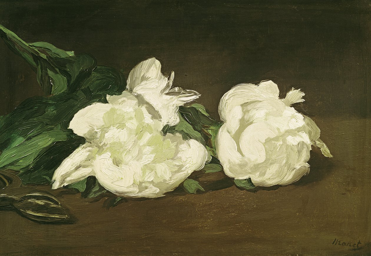 Gren av vita pioner och sekatörer, 1864 av Édouard Manet