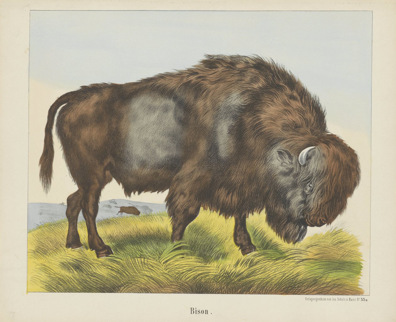 Bison (titel på objekt) av firma Joseph Scholz