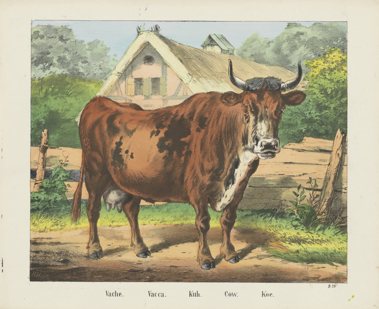 Vache. / Vacca. / Kuh. / Ko. / Koe (titel på objekt) av firma Joseph Scholz