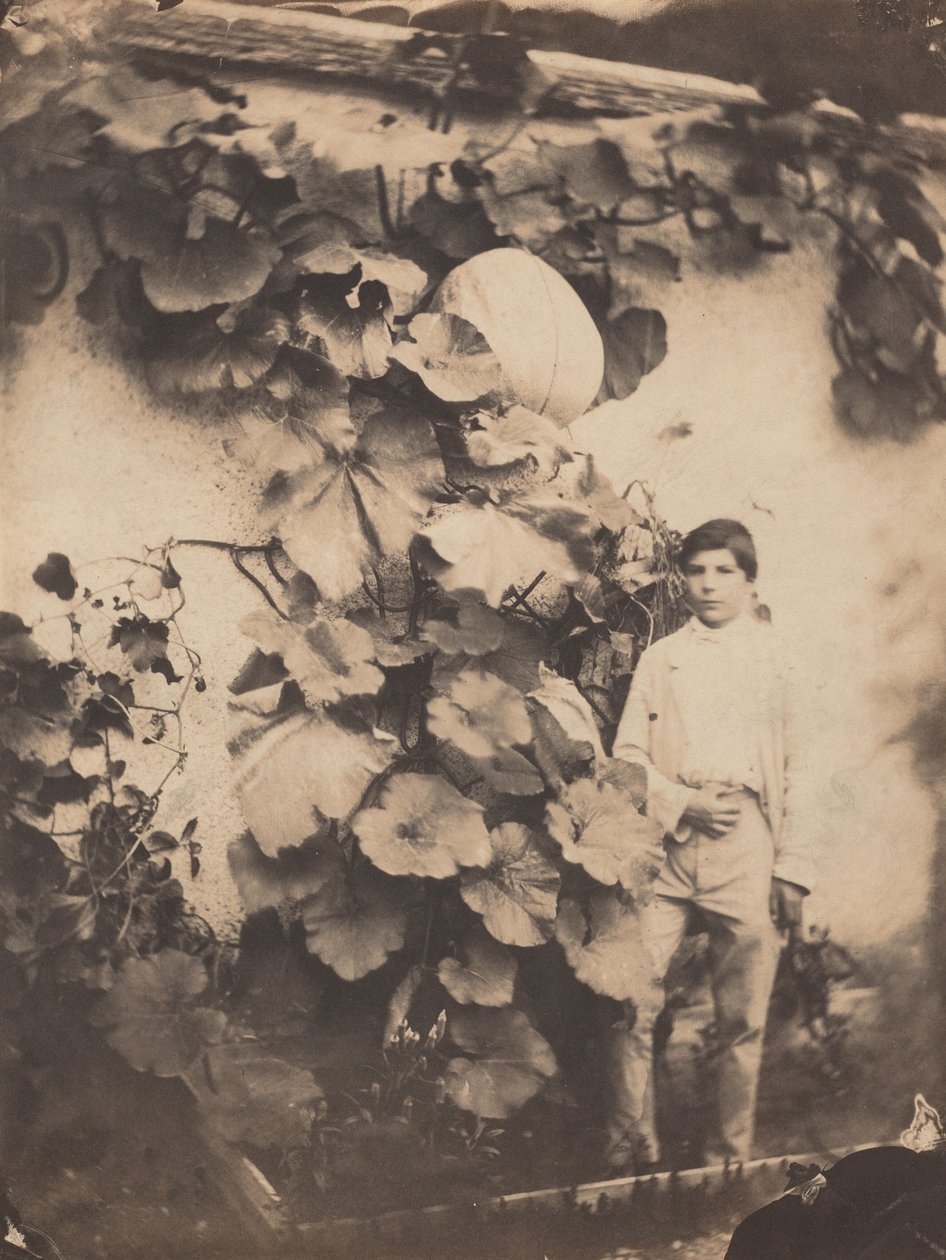 Pojke med en pumpaväxt,1854 (foto) av freres Varin