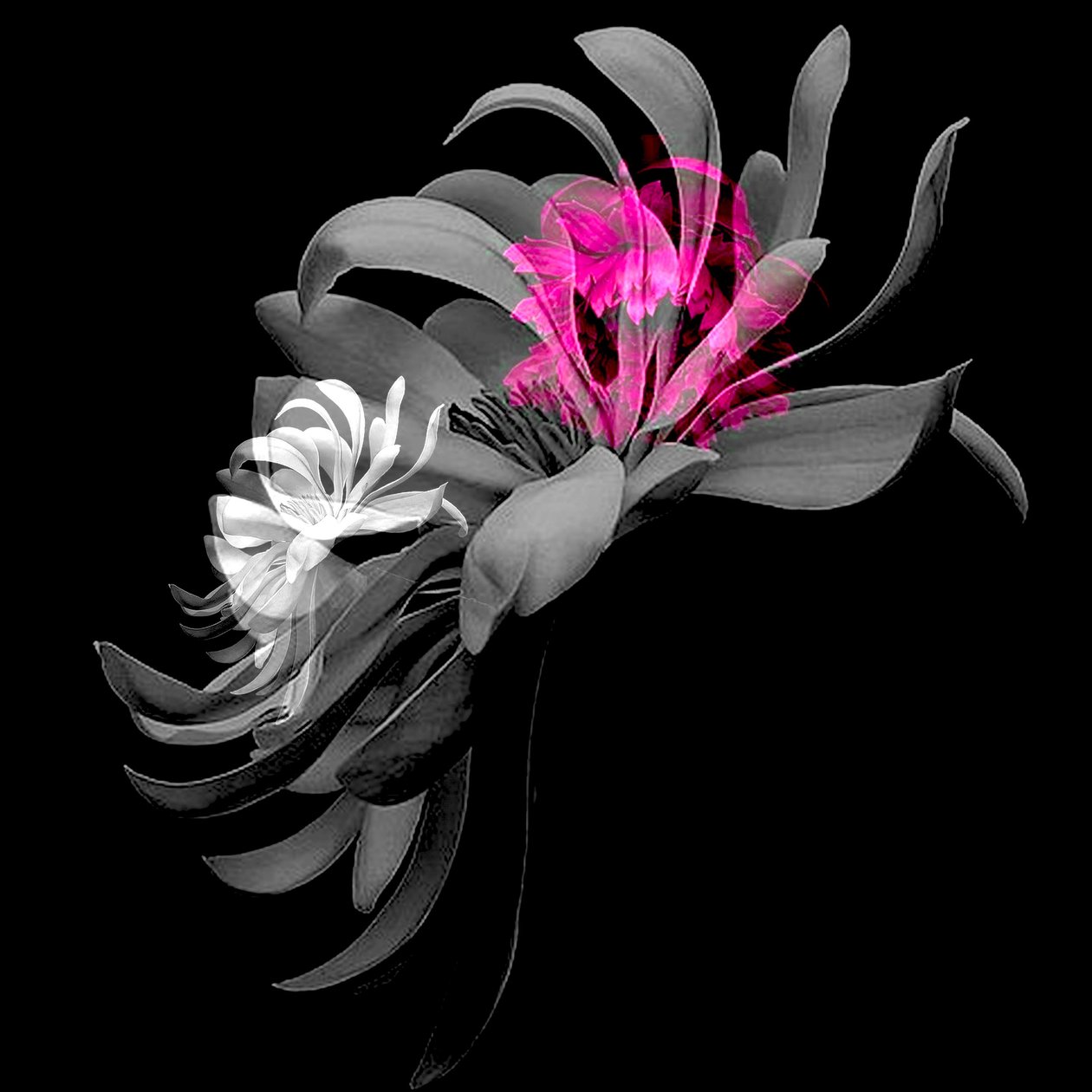 SPRING FLOWER COLLAGE, 2018 (blandteknik) av linda arthurs